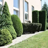 Údržba záhrad Údržba záhrad